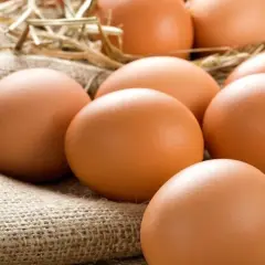 Kilka brązowych jajek na płótnie, idealnych na dietę jajeczną.