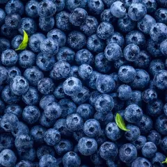 Mnóstwo soczystych borówek amerykańskich, idealnych na zdrową przekąskę. Niska zawartość borówka amerykańska kcal sprawia, że są świetnym wyborem.