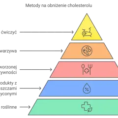 Piramide zdrowia: ćwiczenia, owoce, warzywa, zdrowe tłuszcze, sterole roślinne. Klucz do obniżenia cholesterolu.