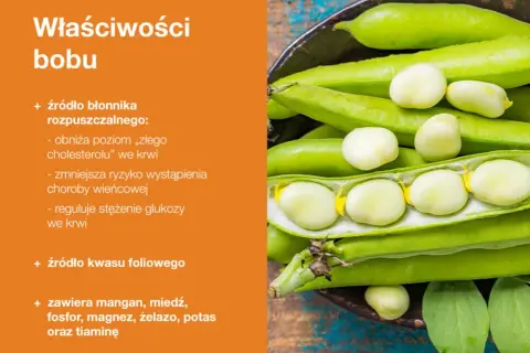 Zbliżenie na zielone strąki bobu z wyjętymi nasionami, obok tekst o właściwościach bobu.