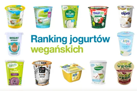 Wegańskie kultury bakterii jogurtowych – co to jest i dlaczego warto?