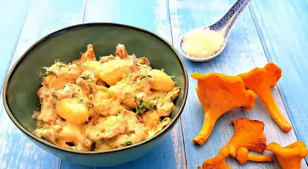 Wegańskie gnocchi z kurkami w kremowym sosie, posypane parmezanem, na niebieskim tle.
