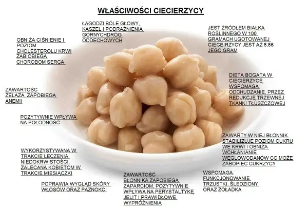 Góra gotowanej ciecierzycy, bogatej w białko i błonnik, wspomaga odchudzanie i reguluje poziom cukru. Ciecierzyca kcal to zdrowie!