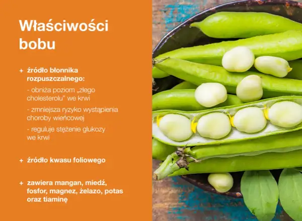 Zbliżenie na zielone strąki bobu z wyjętymi nasionami, obok tekst o właściwościach bobu.