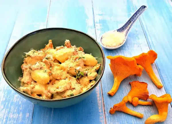 Wegańskie gnocchi z kurkami w kremowym sosie, posypane parmezanem, na niebieskim tle.
